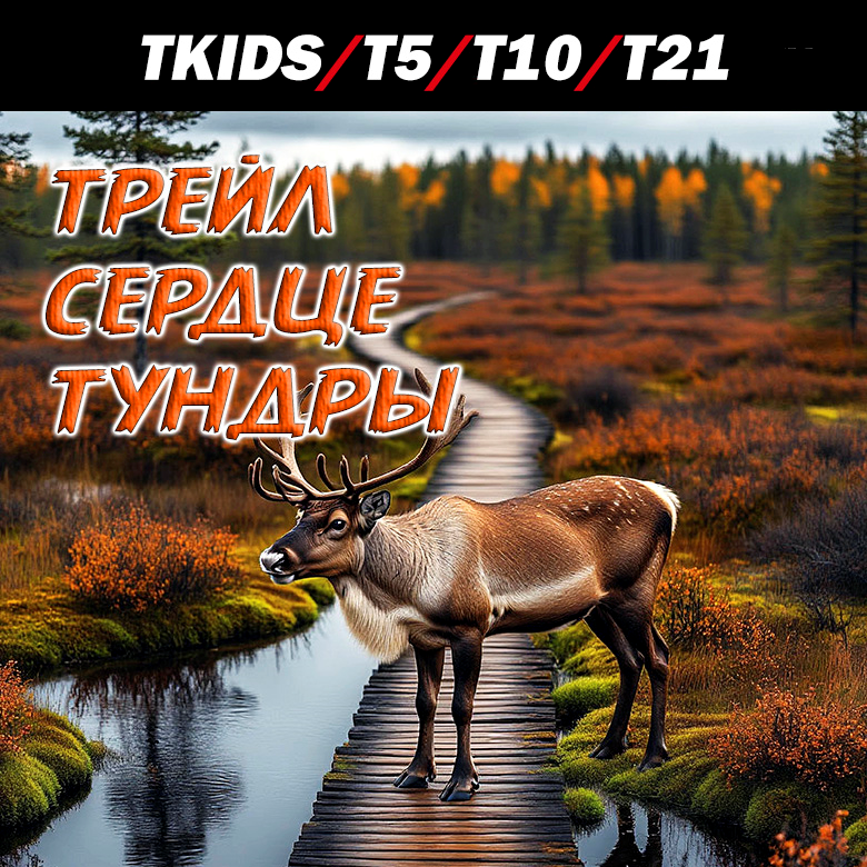 ТРЕЙЛ СЕРДЦЕ ТУНДРЫ — Московская обл.
