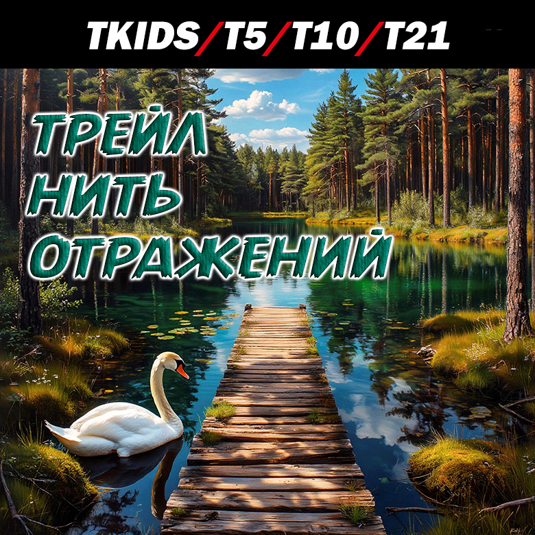 ТРЕЙЛ НИТЬ ОТРАЖЕНИЙ — Московская обл.