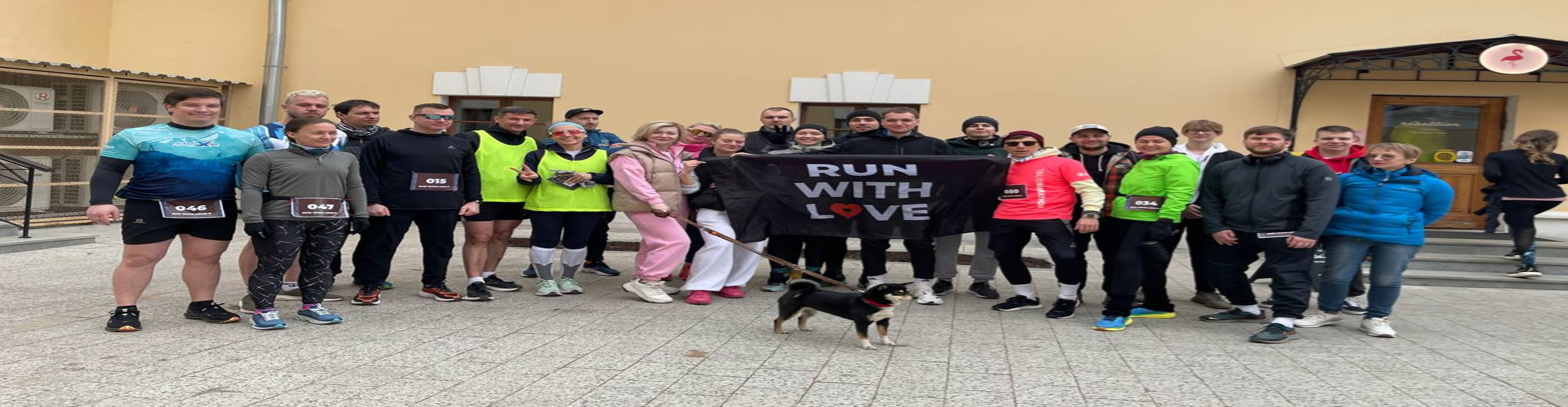 Афиша события Любительский  забег в помощь животным 3км, 5км, 10км Run With Love
