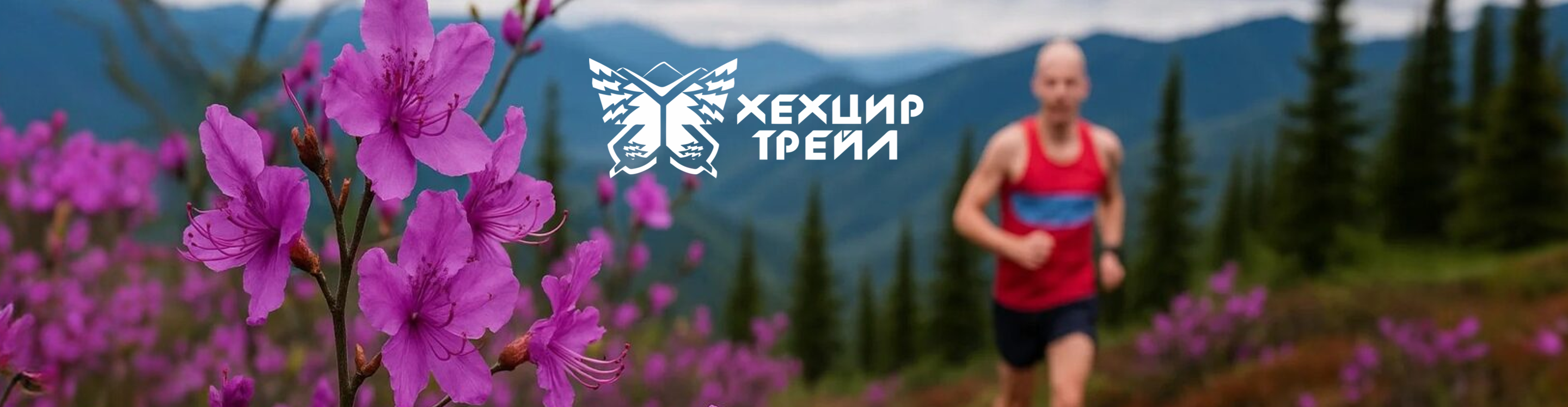 Афиша события ХехцирТрейл. Цветы Багульника.